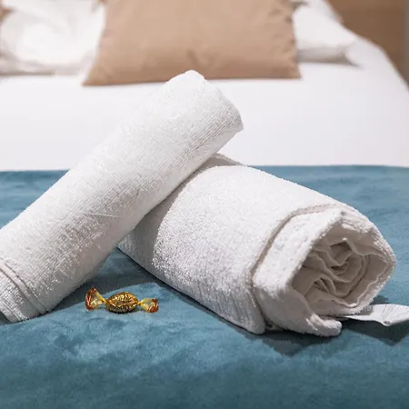 Daire Elegant Center Cathedral Reims